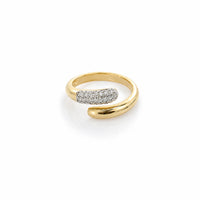 Mixed metal ring