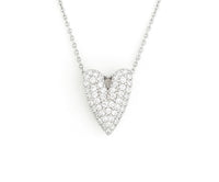 Silver cora